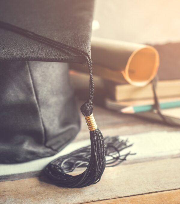 Top Courses in the UK with High Job Prospects for Nigerian